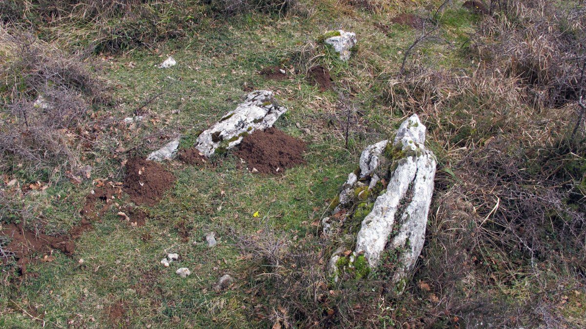 Kategaña trikuharria, Madotz-Larraun