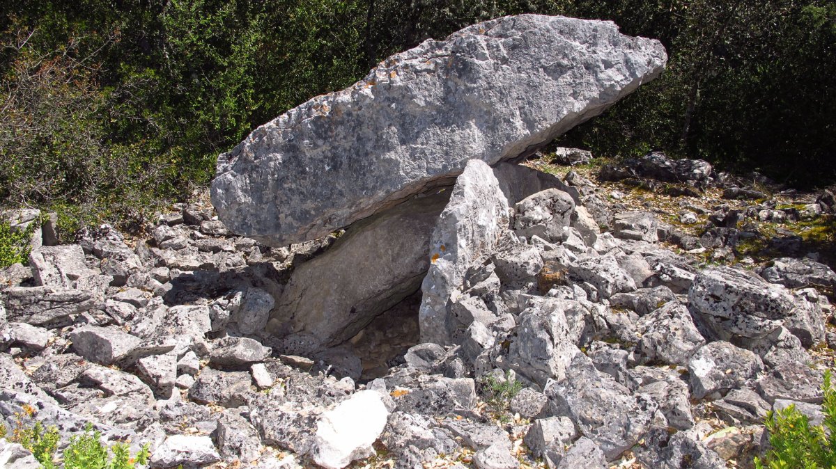 Angerta trikuharria, Berroia-Erromantzatua