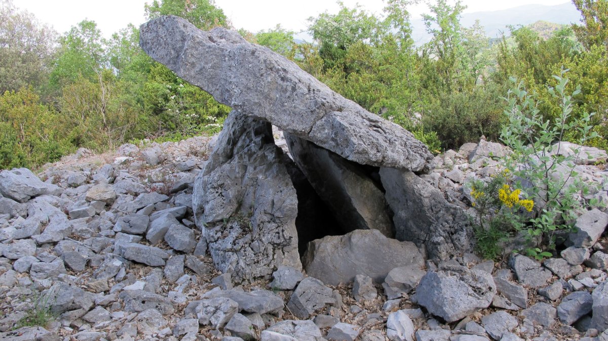 Faulo trikuharria, Boitzari-Erromantzatua