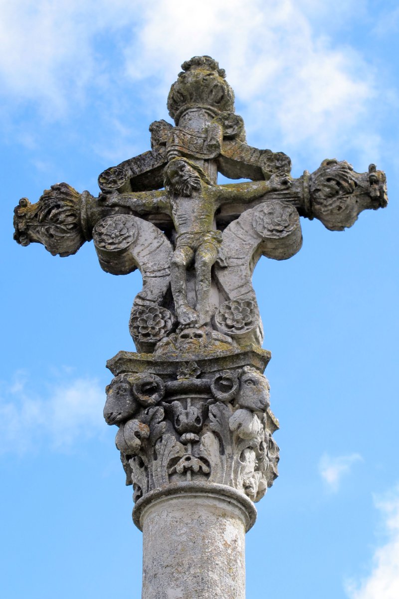 Kruzeroa, Ororbia-Oltza