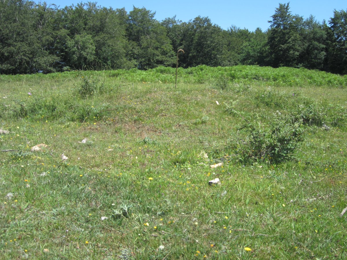 Túmulo Okina I (Julio 2016)