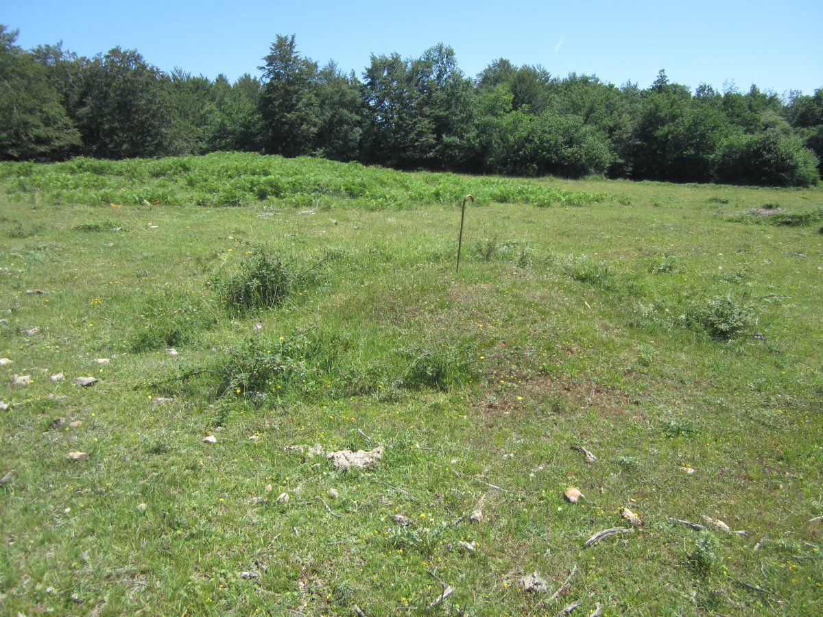 Túmulo Okina I (Julio 2016)