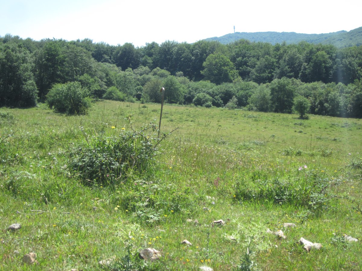 Túmulo Okina I (Julio 2016)