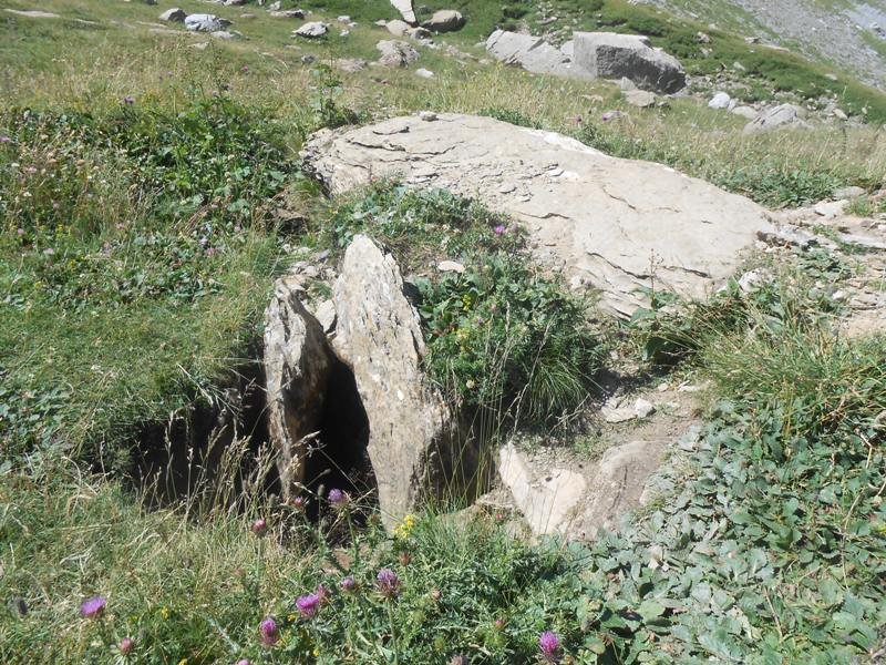 Cantal de Curets trikuharria