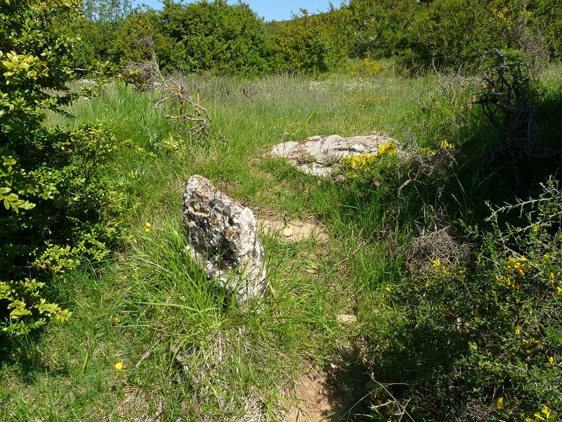 Lurrean sartutako harria. Atzean, "plataforma" ikusgai