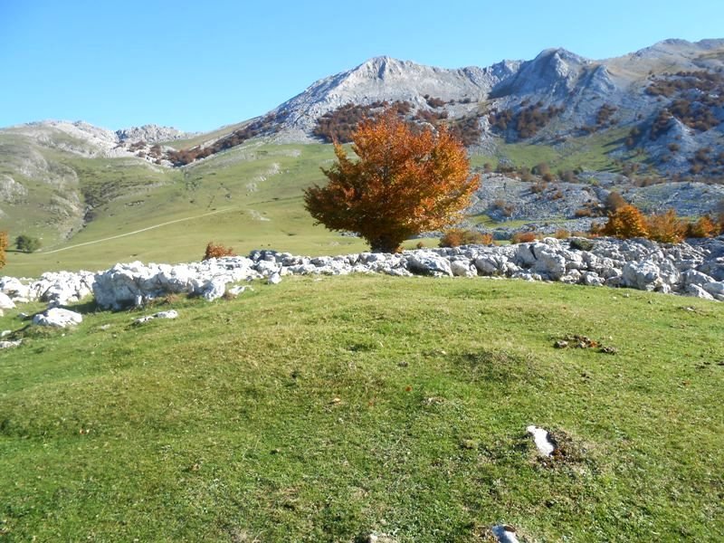 Kalparmuñobarrena 2 tumulua