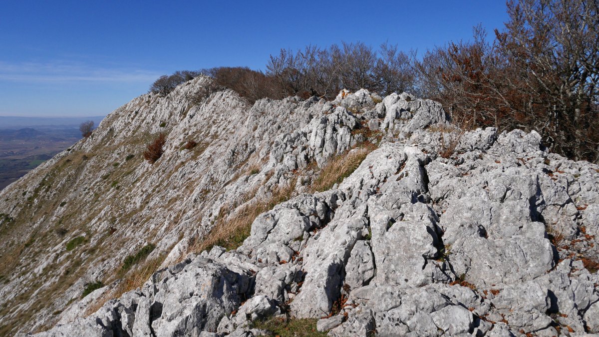 Umandia Ekialdeko gandorretik