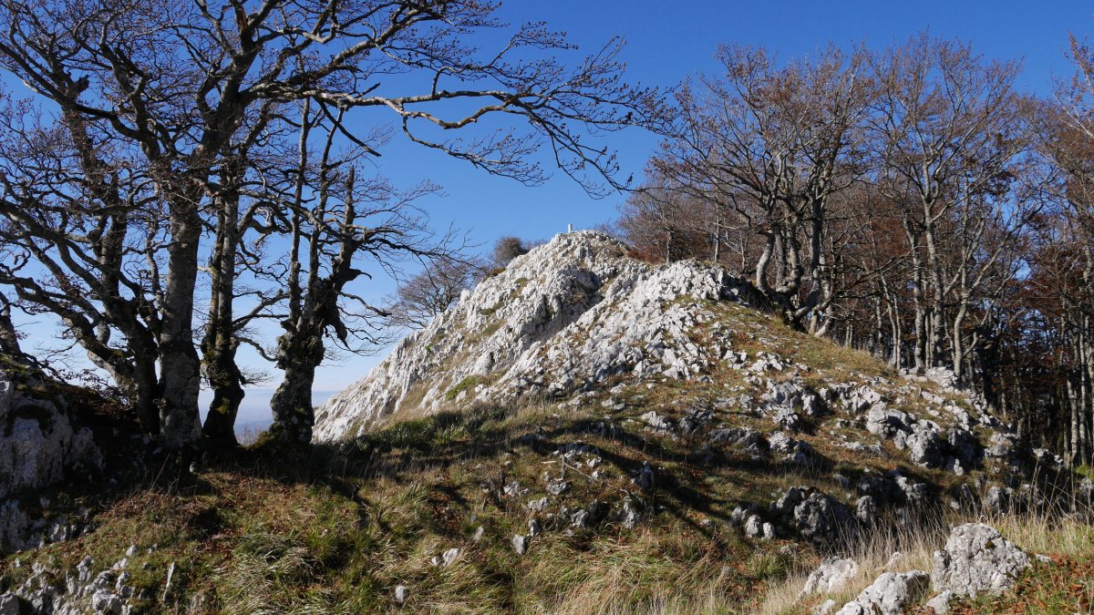 Umandia Ekialdeko gandorretik