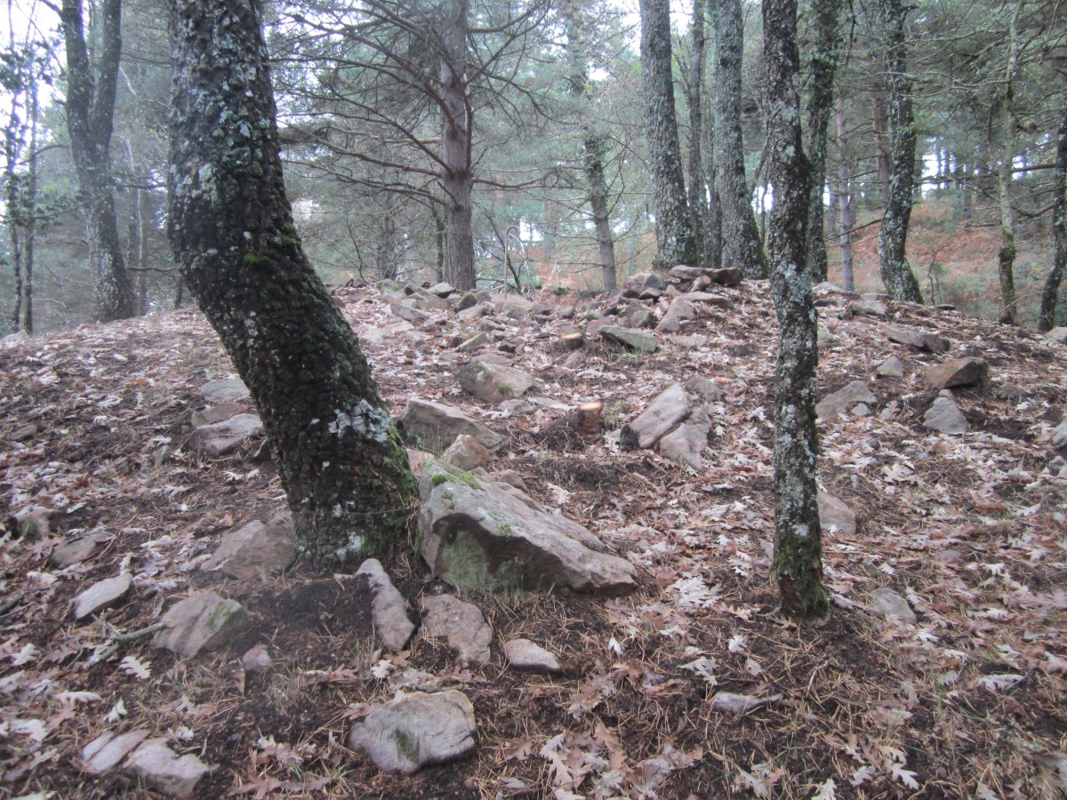 Dólmen Artabilla 1  (Noviembre 2016)