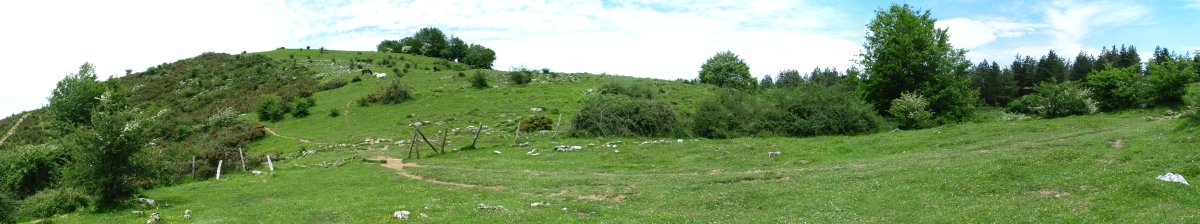 Erroizpeko ekialdeko bizkarra Berrotako lepotik ikusita