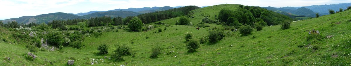 Erroizpetik Laartera begira