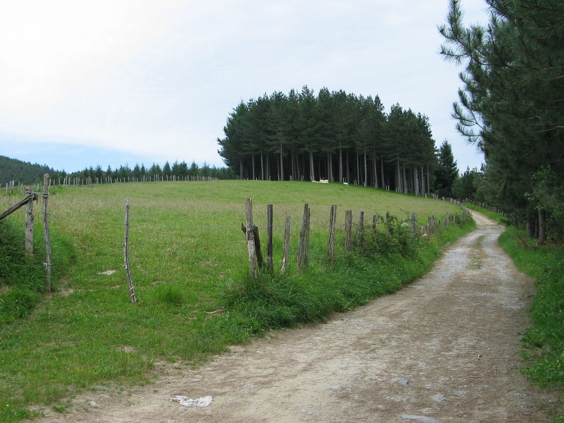 Gaztelu aldeko GR bidea