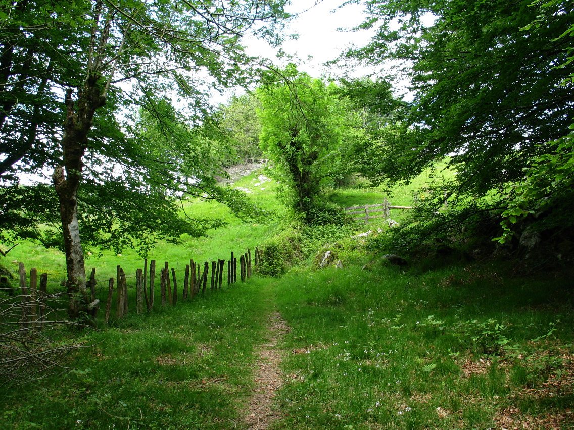 Lagarte eta Gazteluko Hartzaitzaren arteko bideko pasarte bat