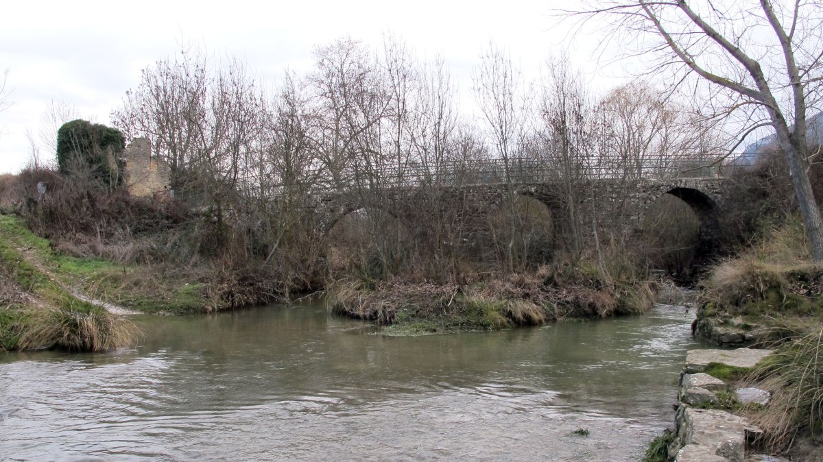 Errota eta erdi aroko zubia, Otao-Elortzibar