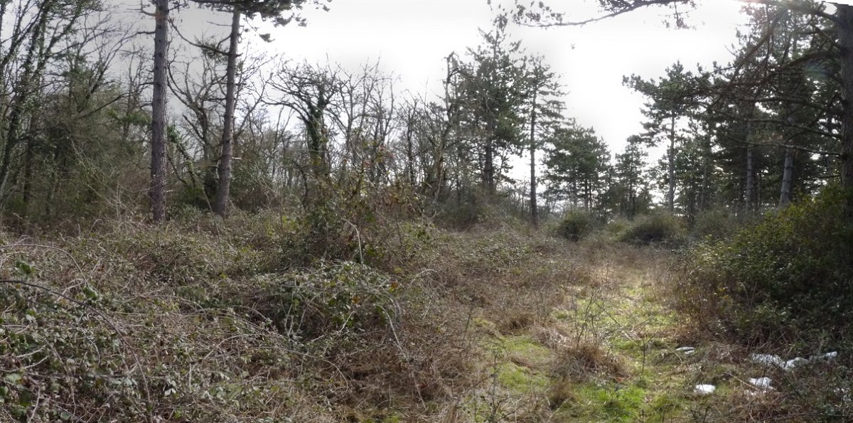 Irumugarrietako gailurra (781m) ez da oso erakargarria