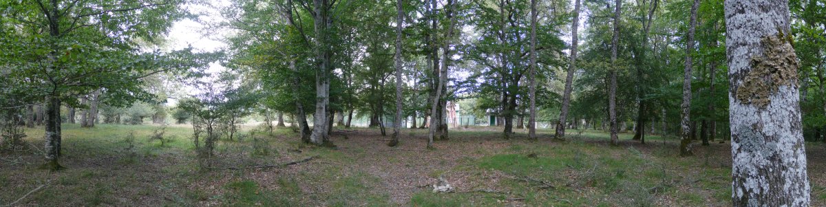 Zalabartako gain zabala, basoaz inguratuta