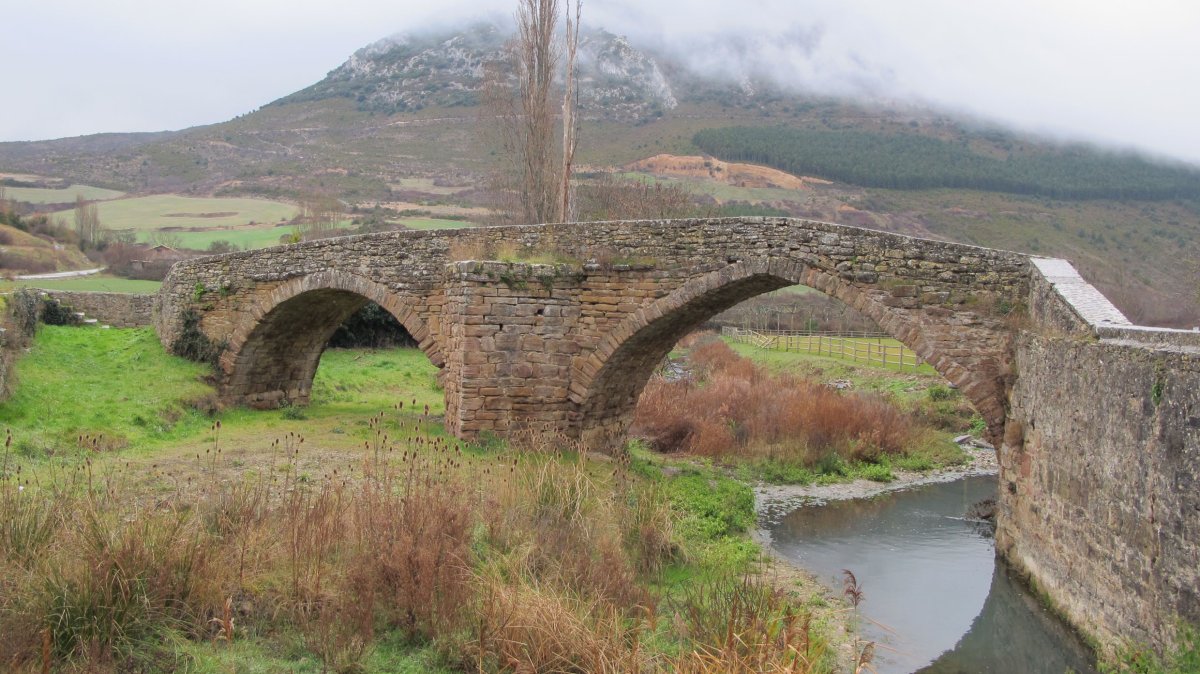 Zubialdea zubia, Elo