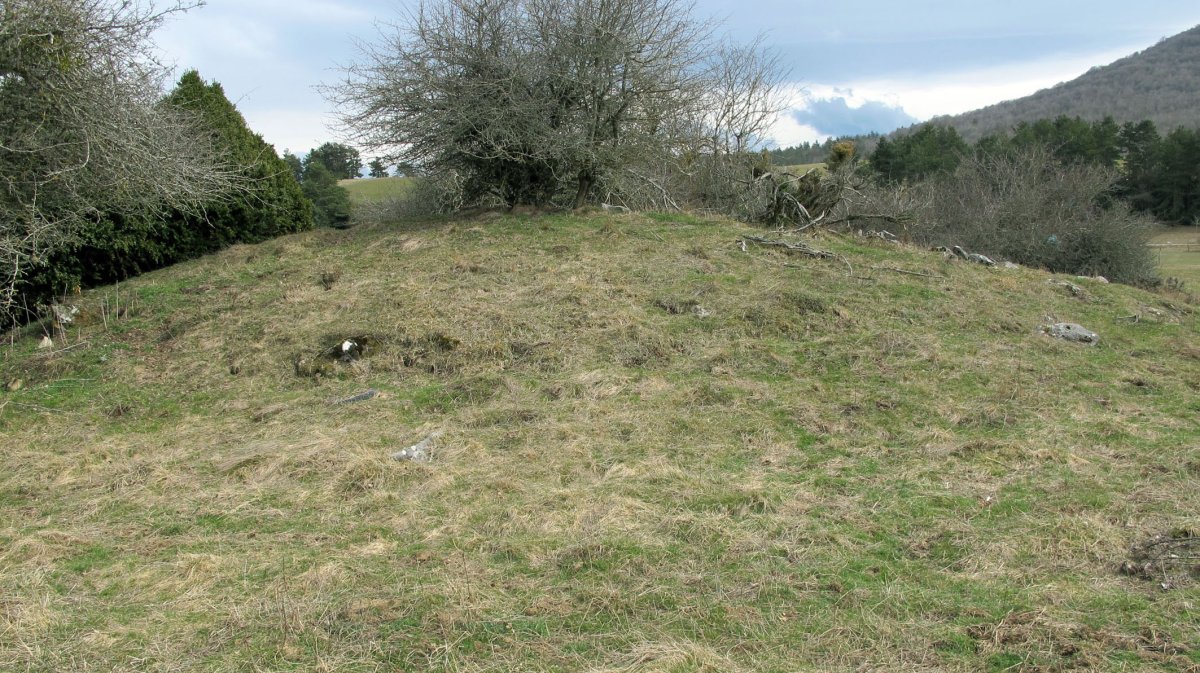 Llano de Erremendia trikuharria, Jaurrieta