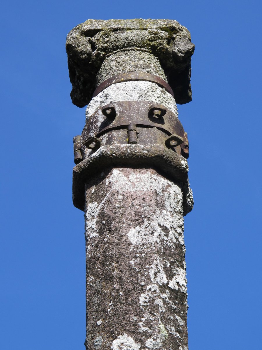 Kruzeroa, Abaurrepea