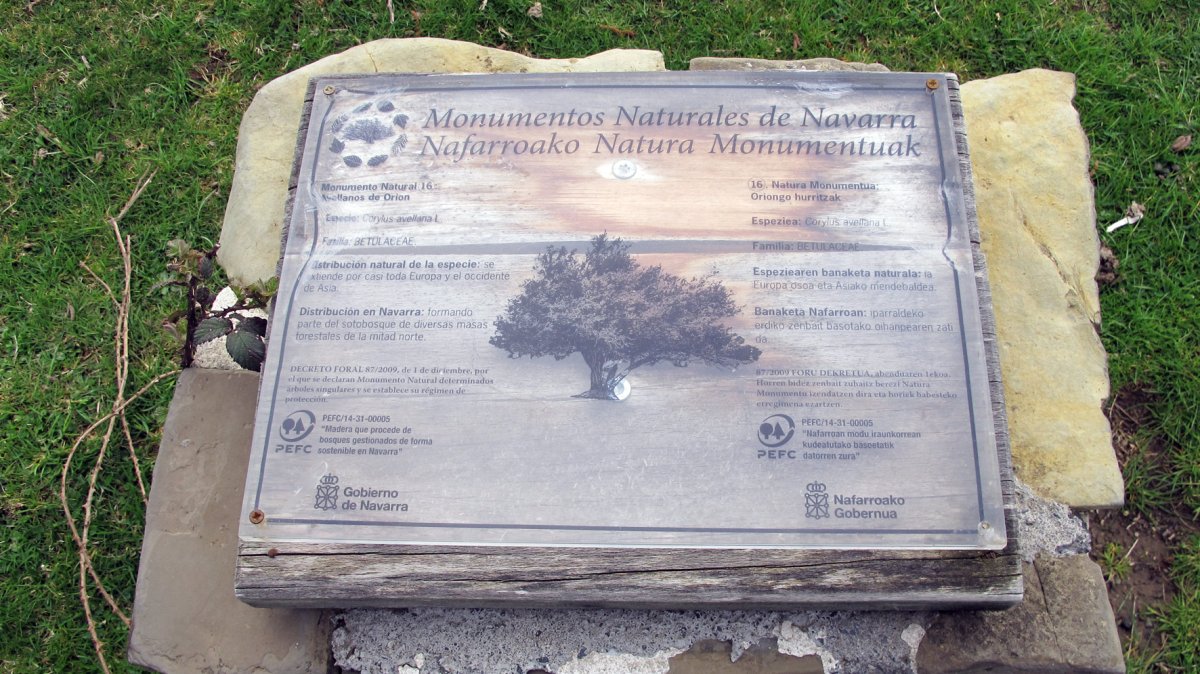 Oriongo hurritzak, Orbaizeta