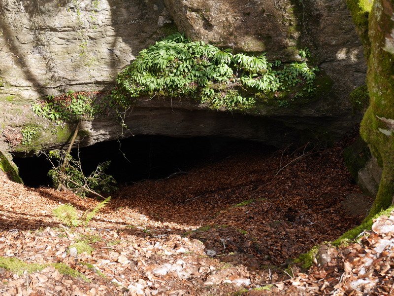 Las Paúles kobazuloa