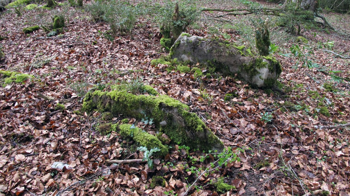 Anbulolatz trikuharria, Orbaizeta