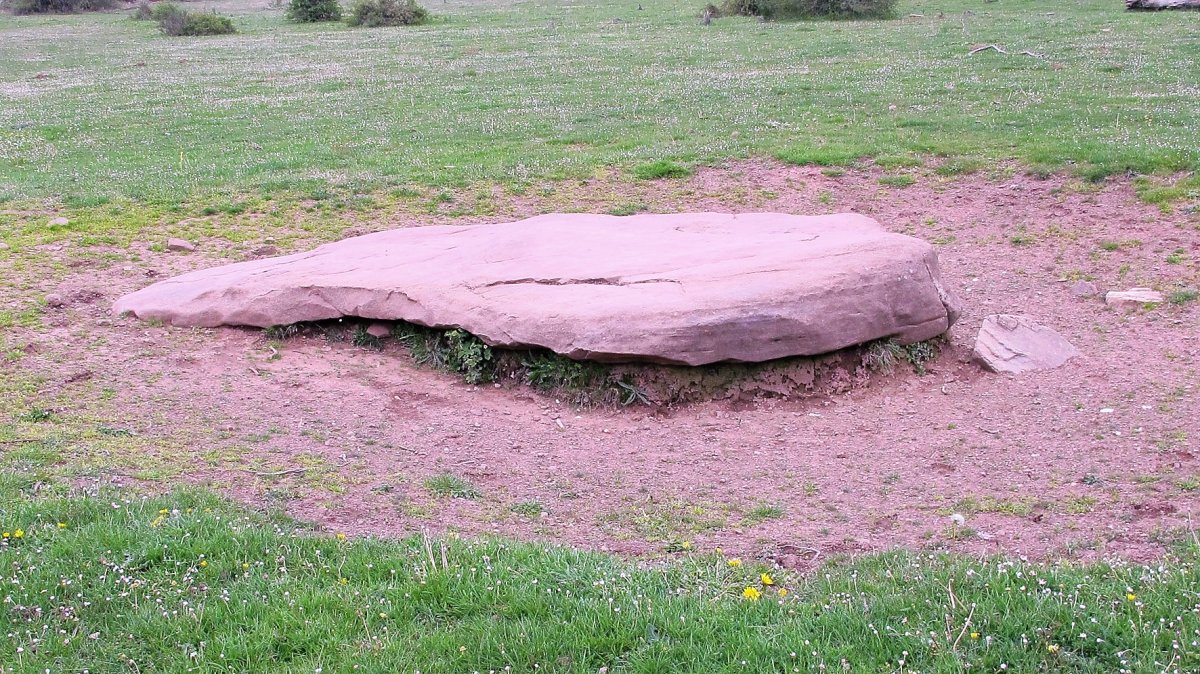 Iruregieta zutarria, Garaioa