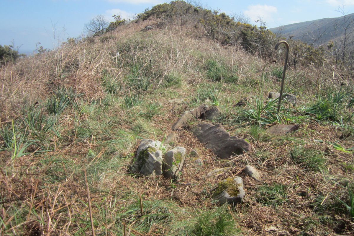 Dólmen Lumberde   (Marzo 2017)