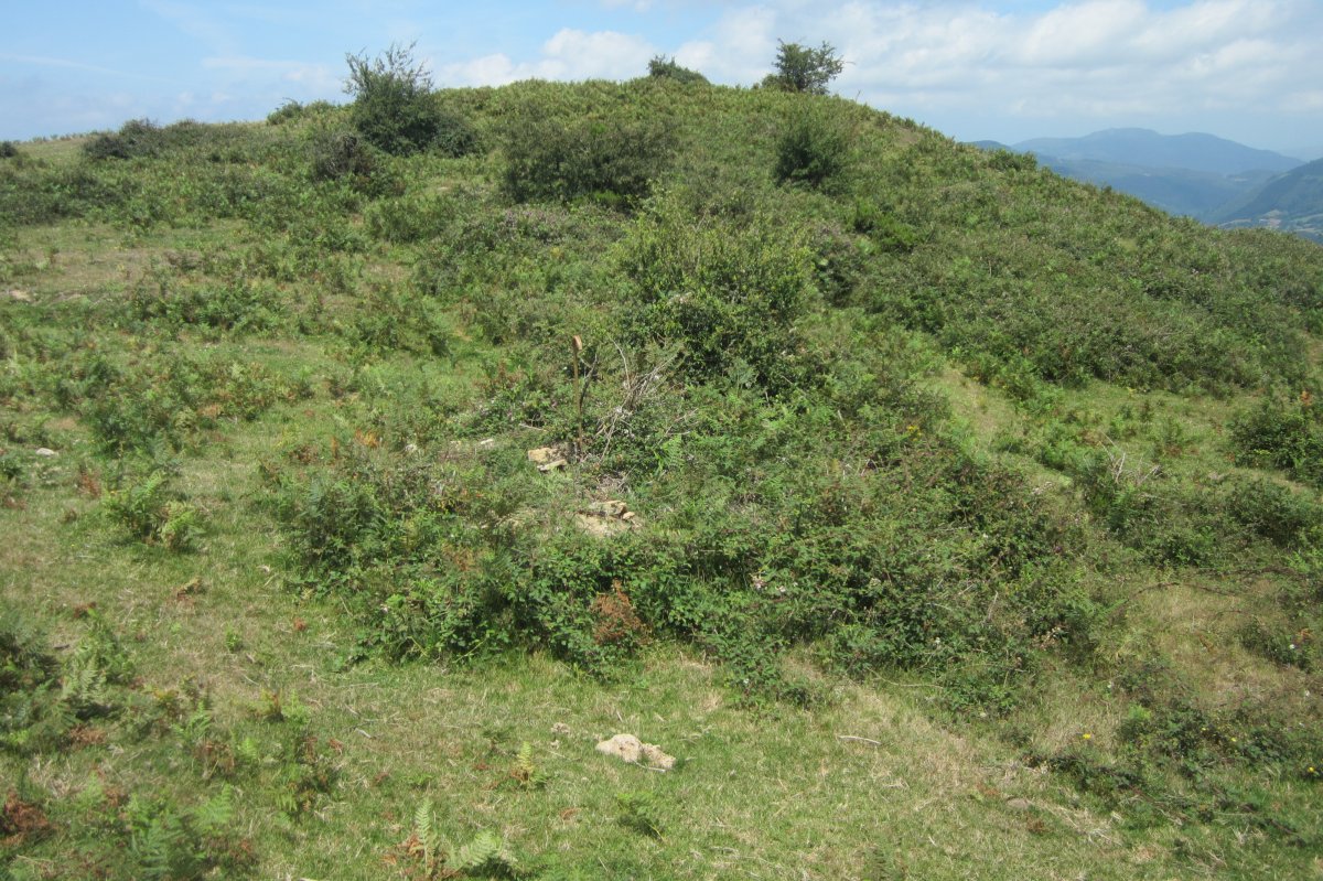 Túmulo Unzilla 1 (Julio 2017)