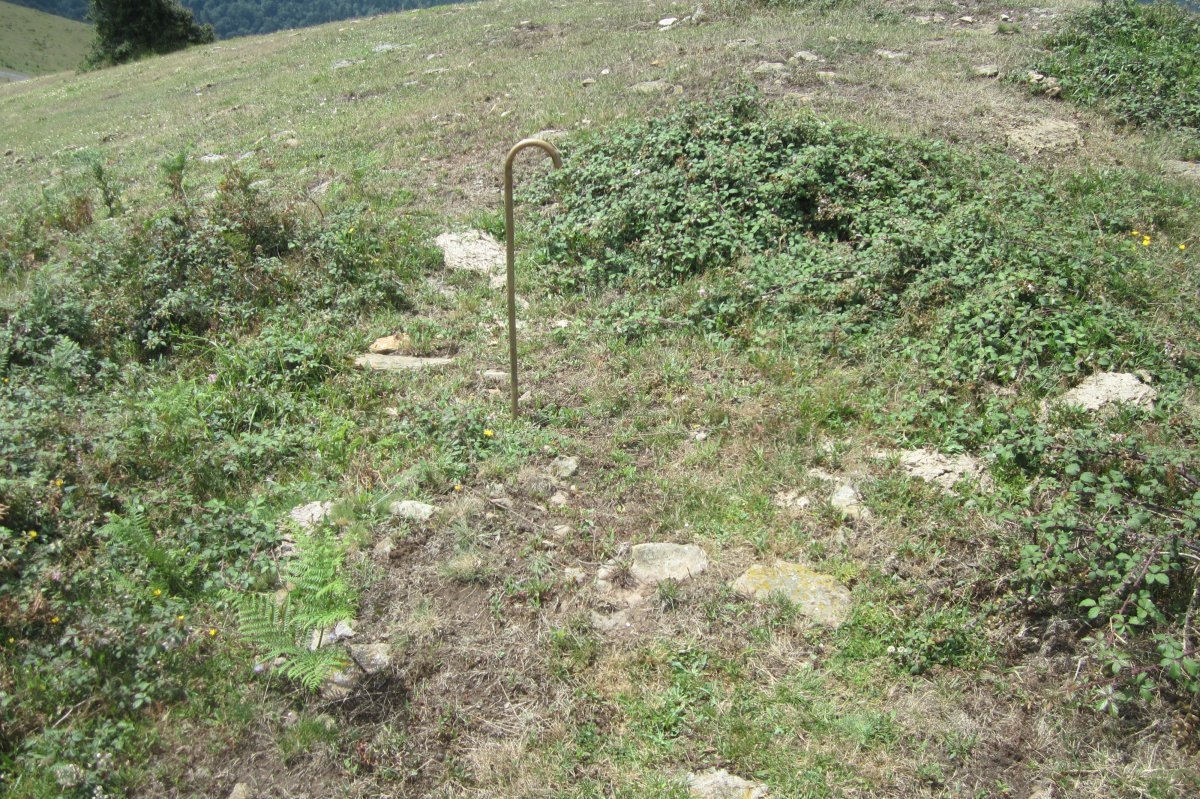 Túmulo Unzilla 2  (Julio  2017)