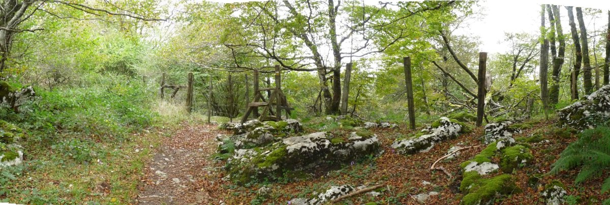 Burdingurutzeko ataka