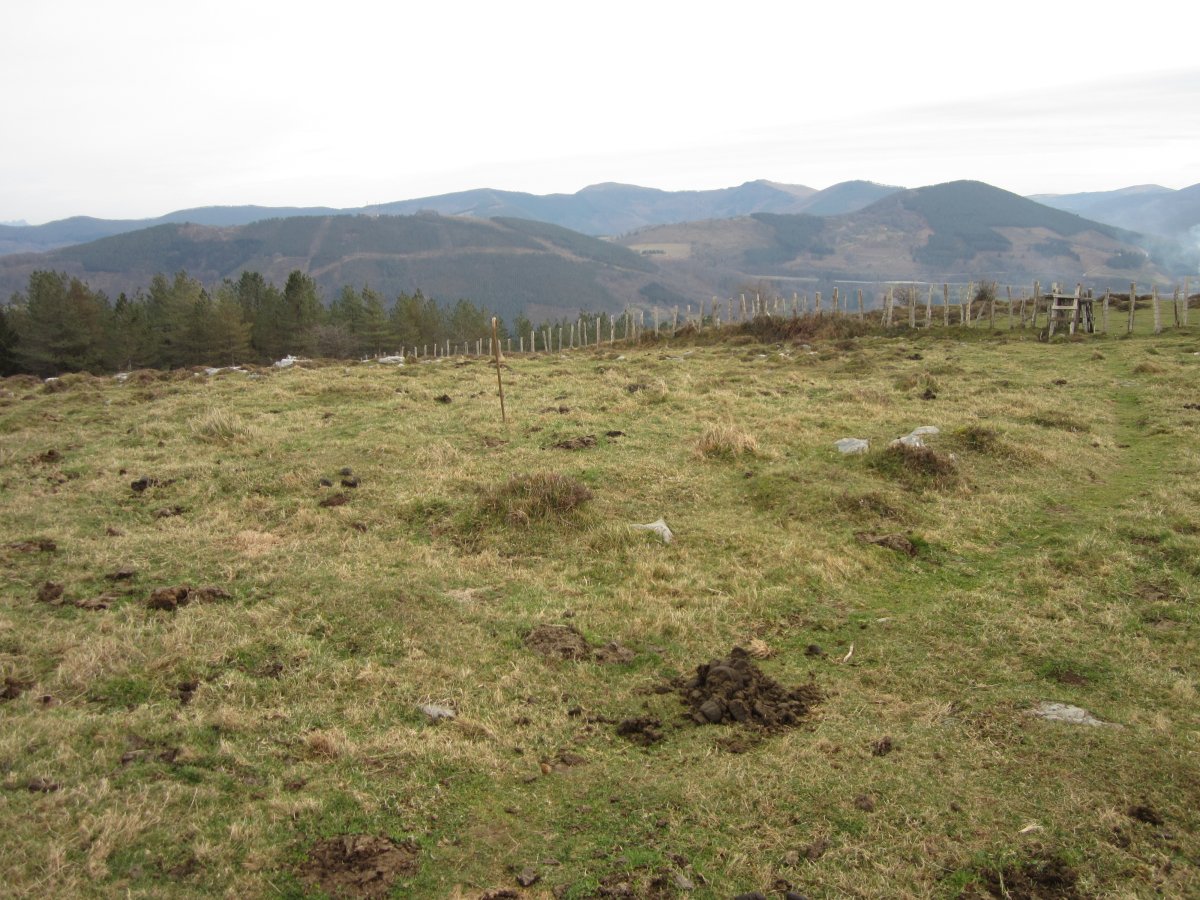Cromlechs Almitxuri  (Enero 2016)