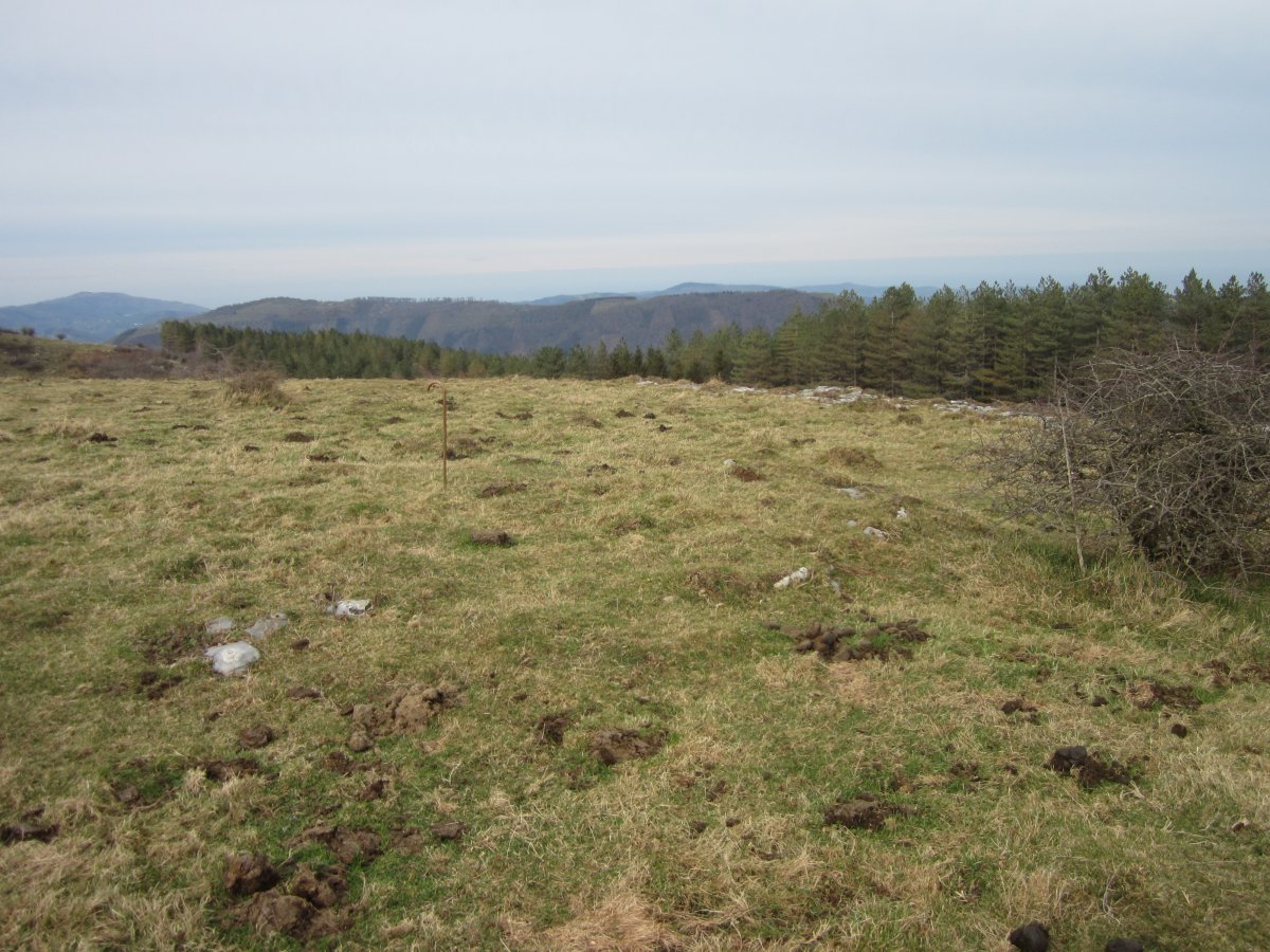 Cromlechs Almitxuri  (Enero 2016)