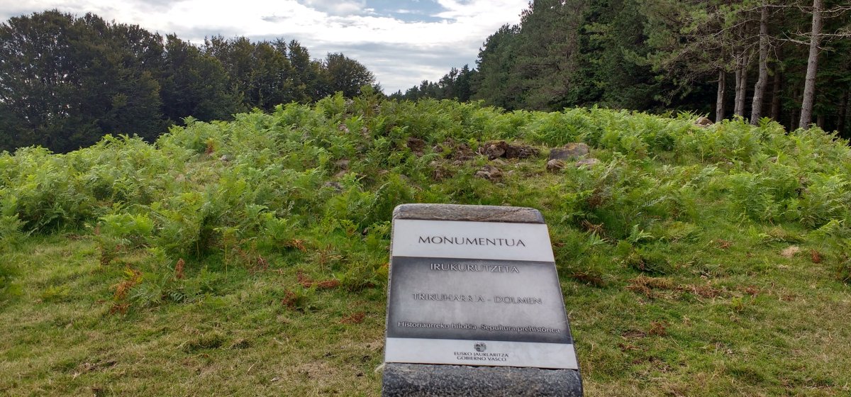 Irukurutzeta Trikuharria (2017)