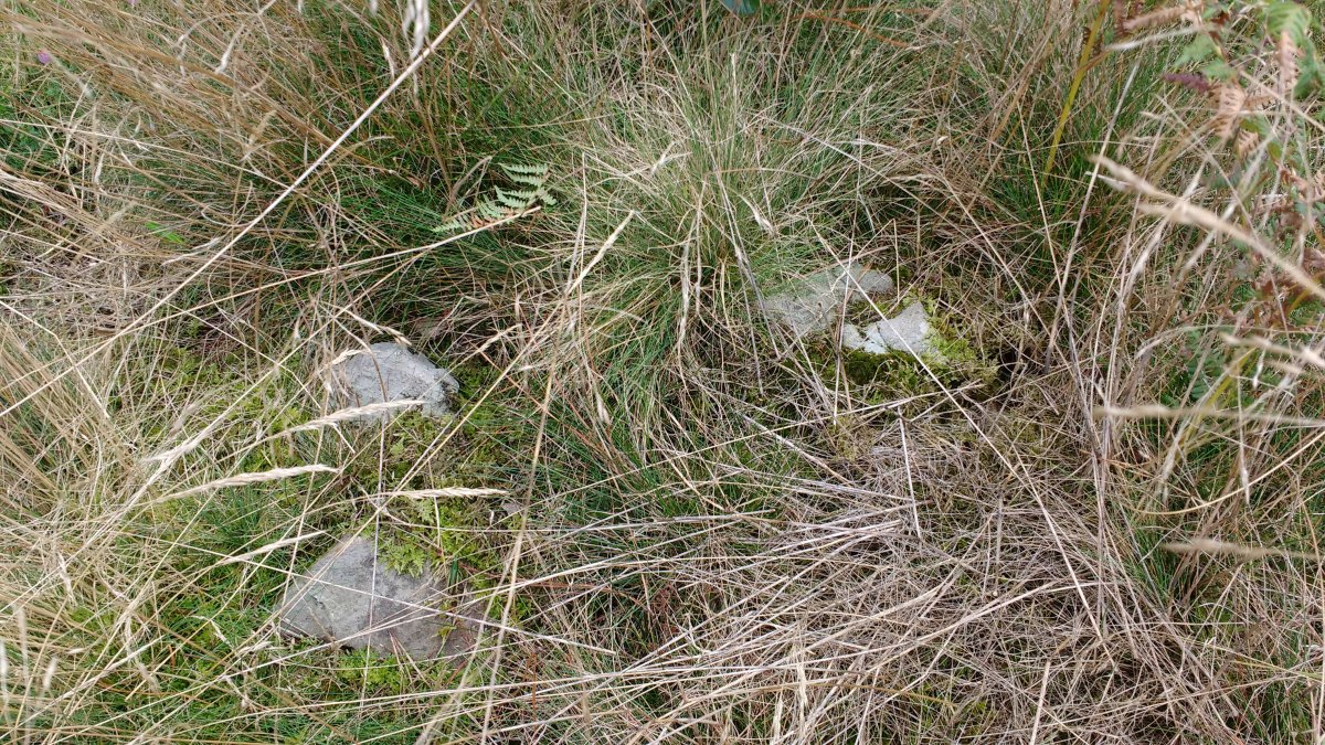 Tranpaluarri tumuloa