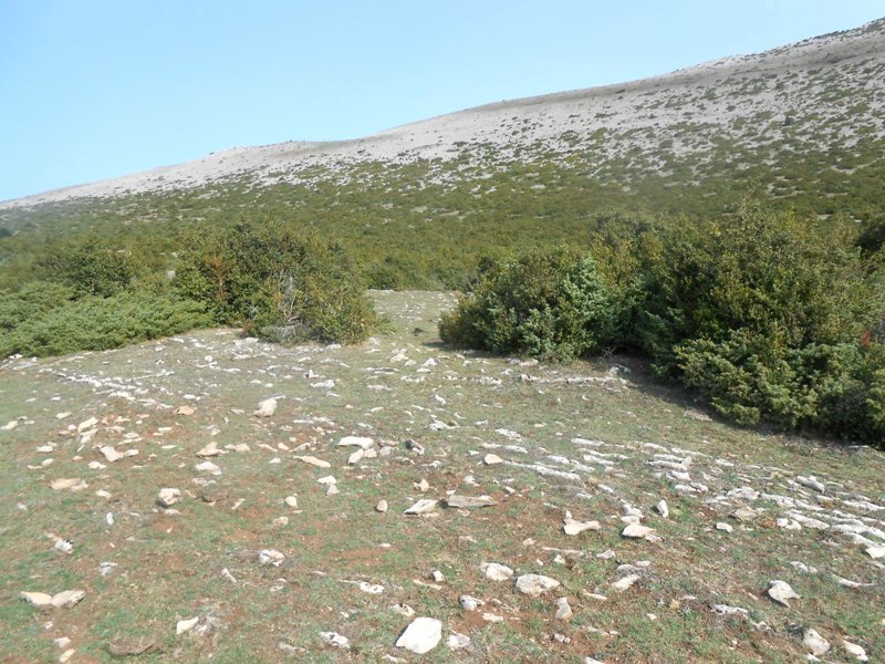 El Carrascal eraztun-tumulua