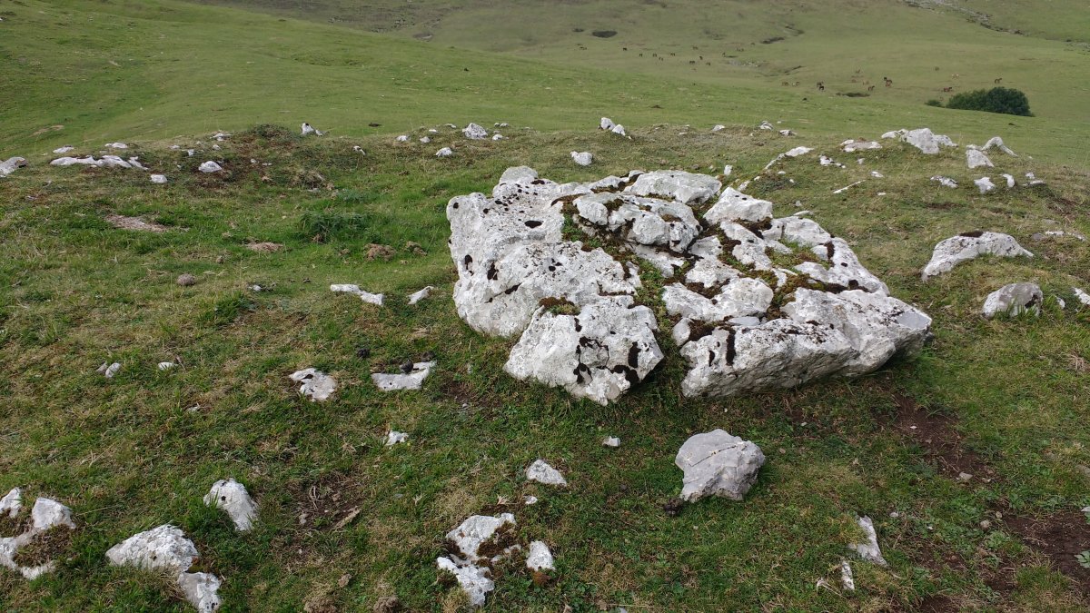 Gorostiaren Sart. trikuharria 3