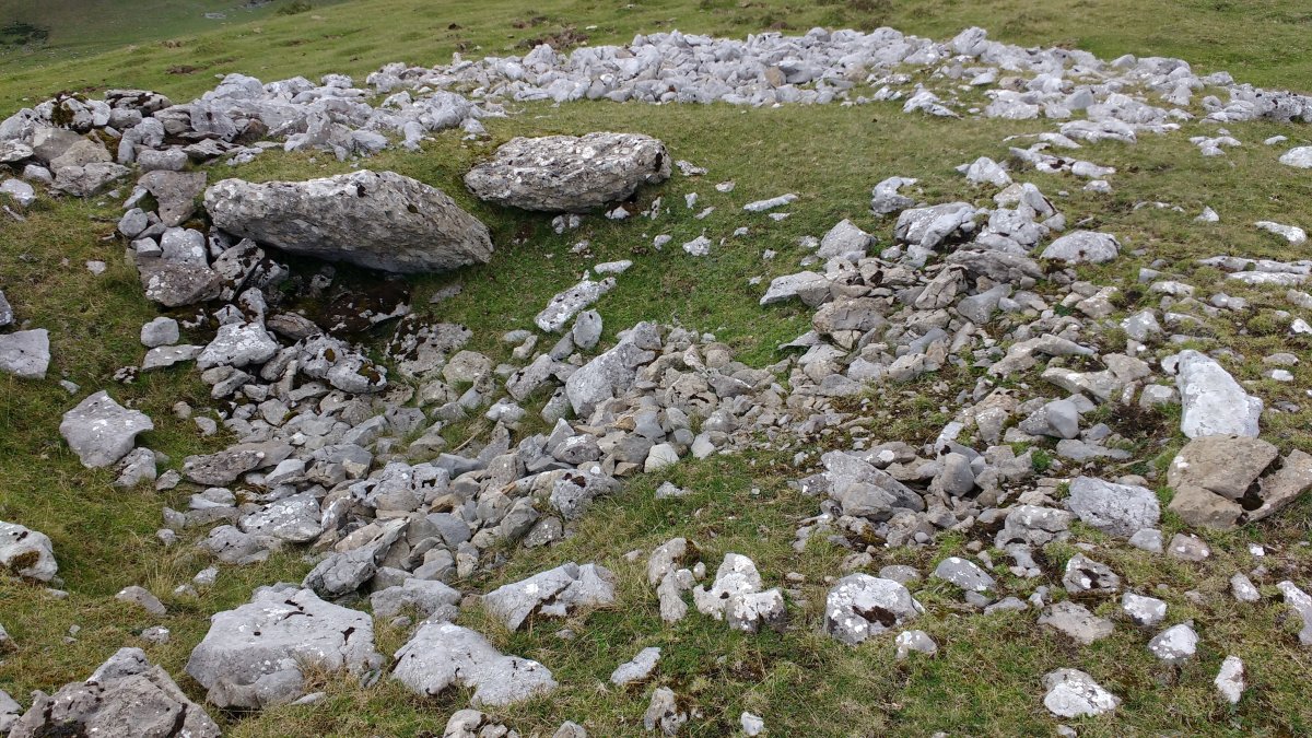 Aizkorritxo trikuharria 2