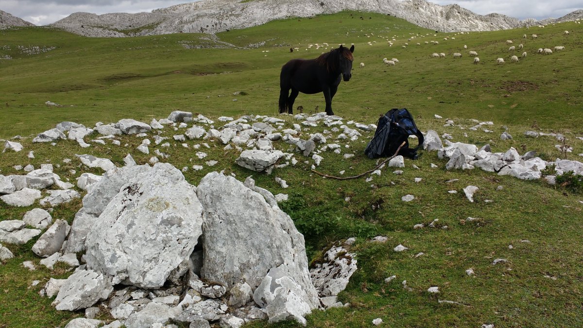 Artzanburu trikuharria 5