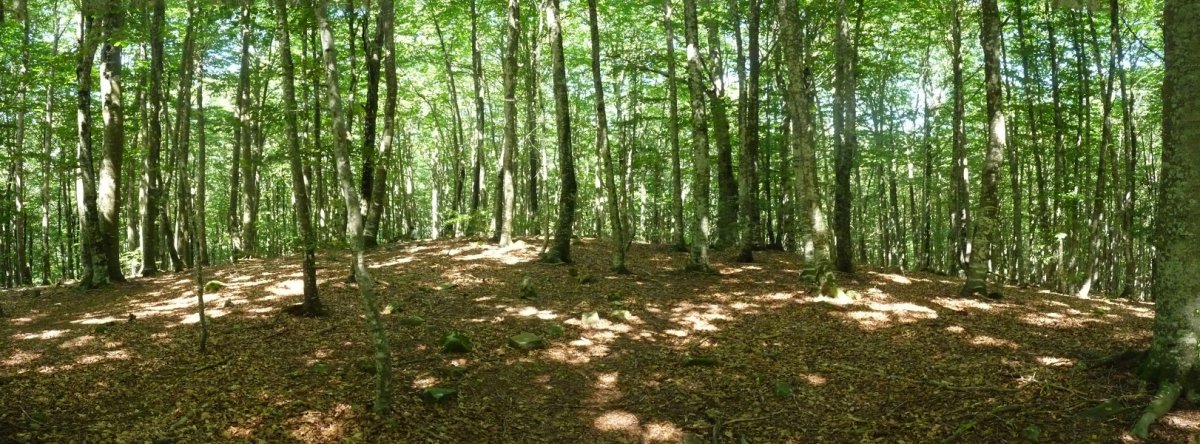 Fagamendiko gailurra, trikuharritik metro batzuetara.