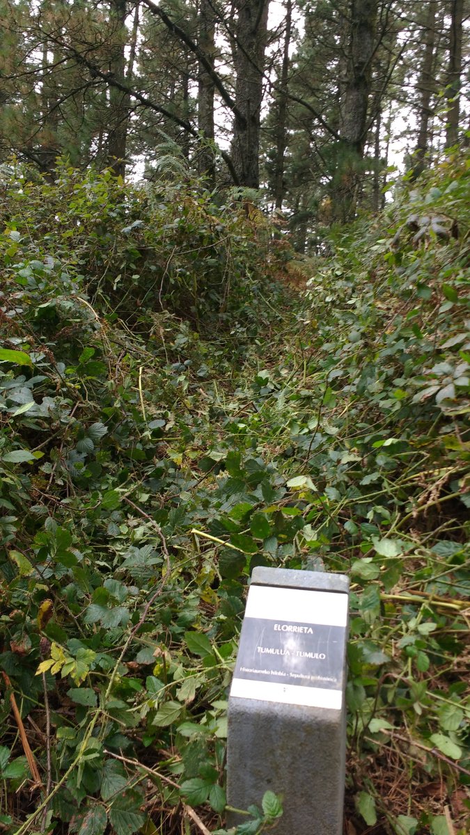 Elorrieta tumuloa (2017)