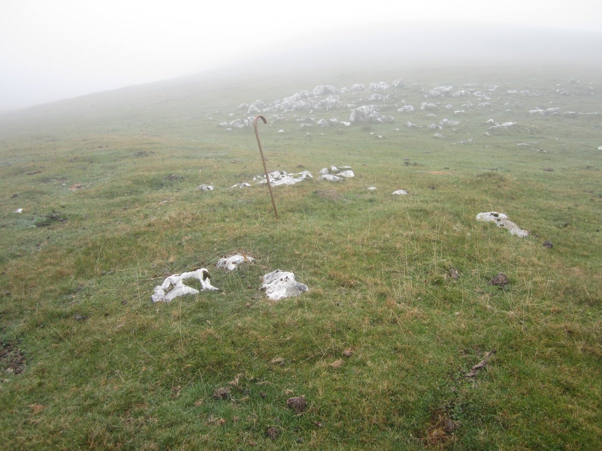 Cromlech Igaratza II a  (Noviembre 2015)