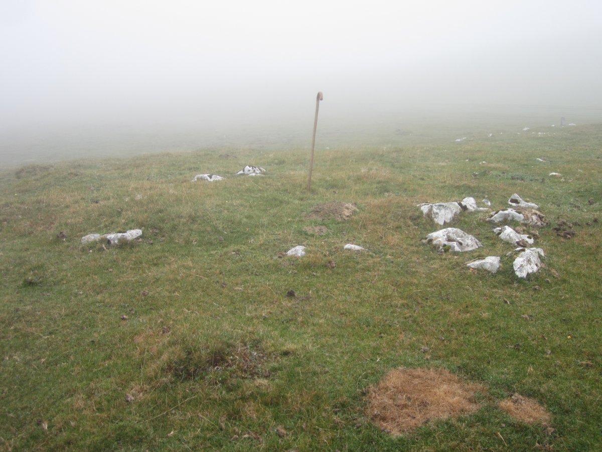 Cromlech Igaratza II a  (Noviembre 2015)