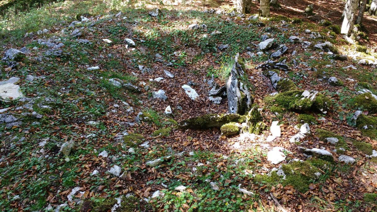 Lubierri 1 ekialde (Obas) trikuharria 4