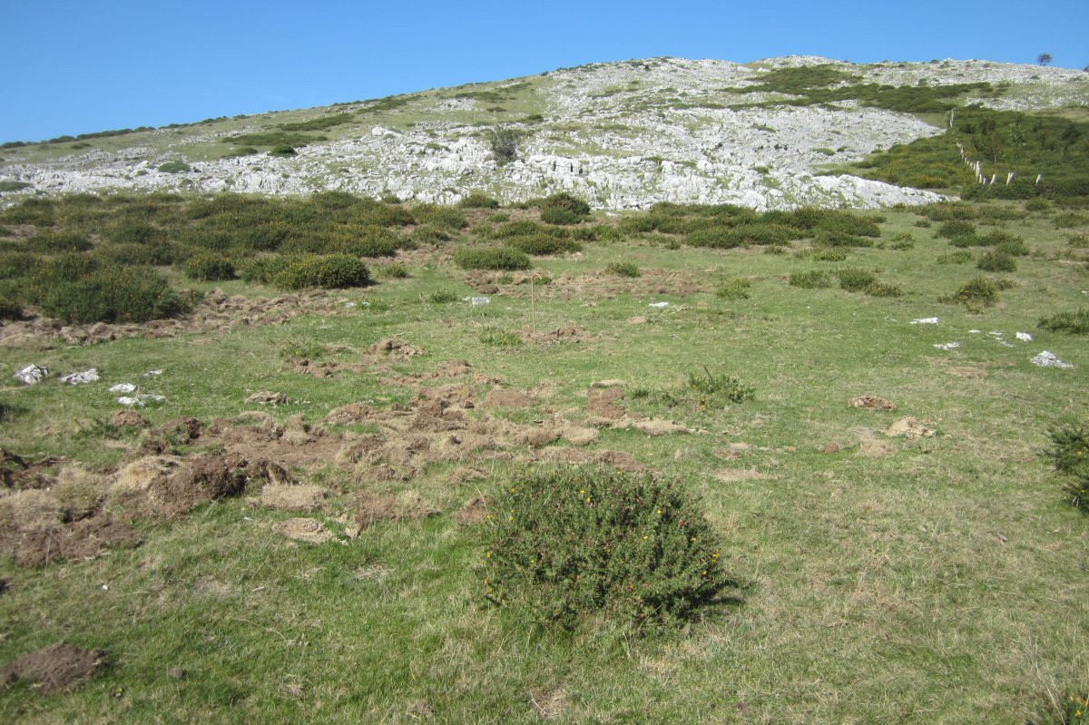 Cromlech Gorostiaga (Septiembre 2017)