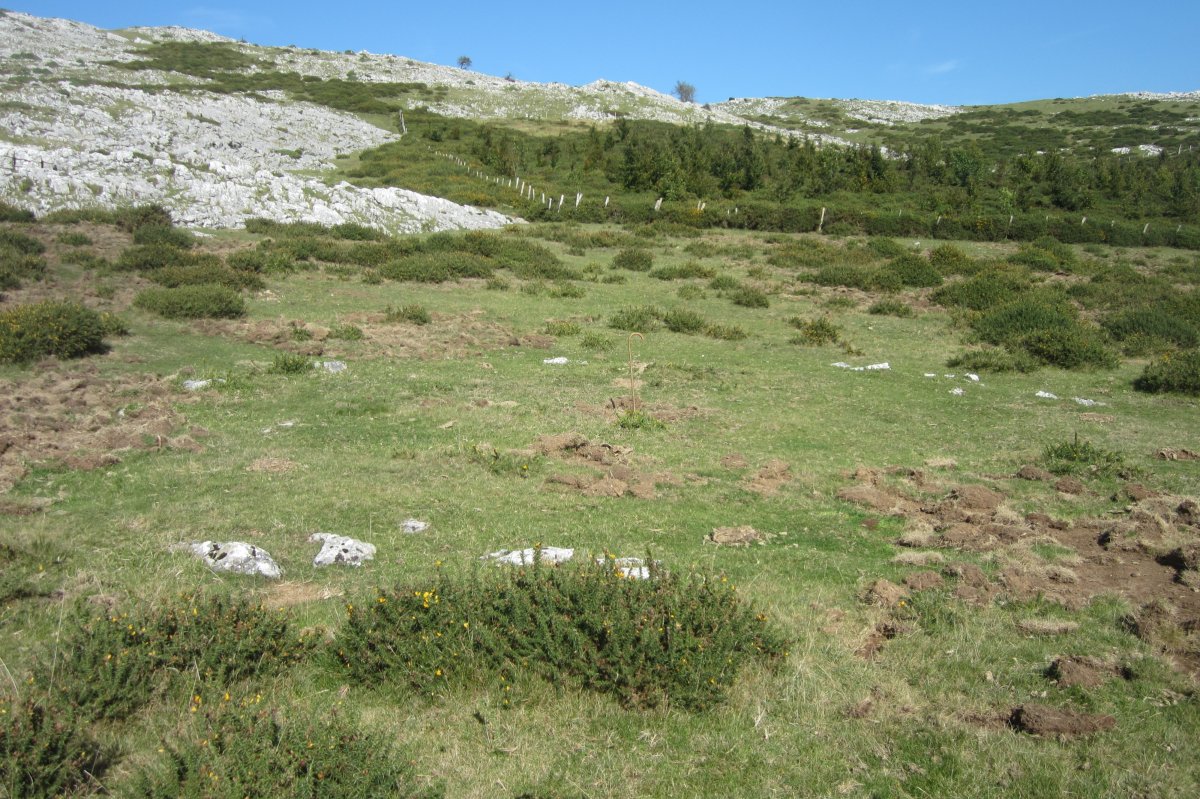 Cromlech Gorostiaga  (Septiembre 2017)