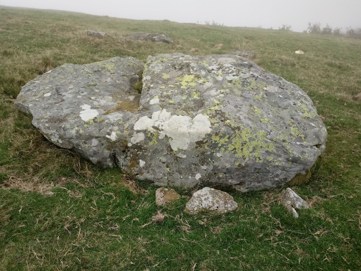 Pinpil I zutarria Milpiribil tontorretik gertu