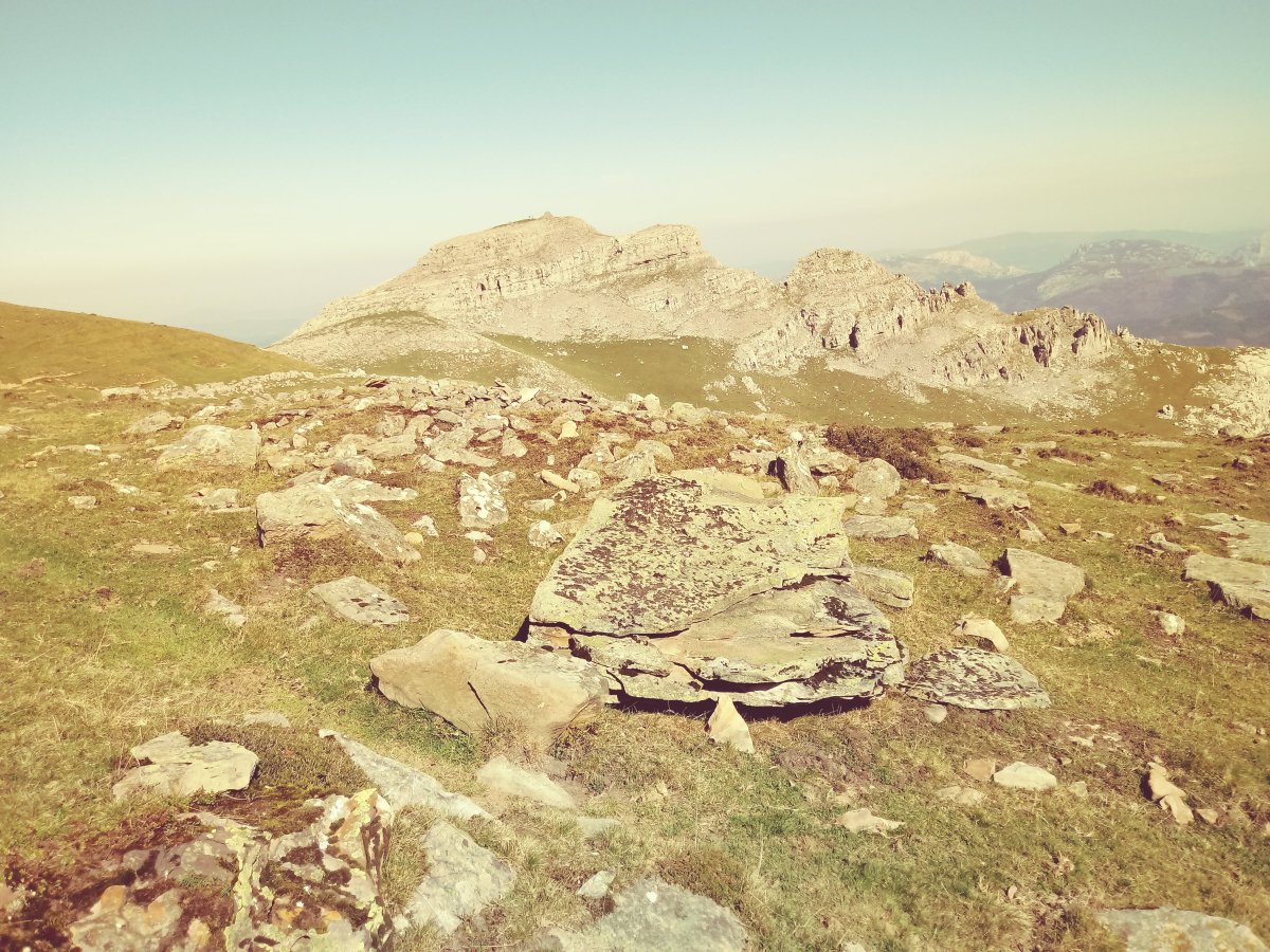 Igitaia trikuharria (2017)