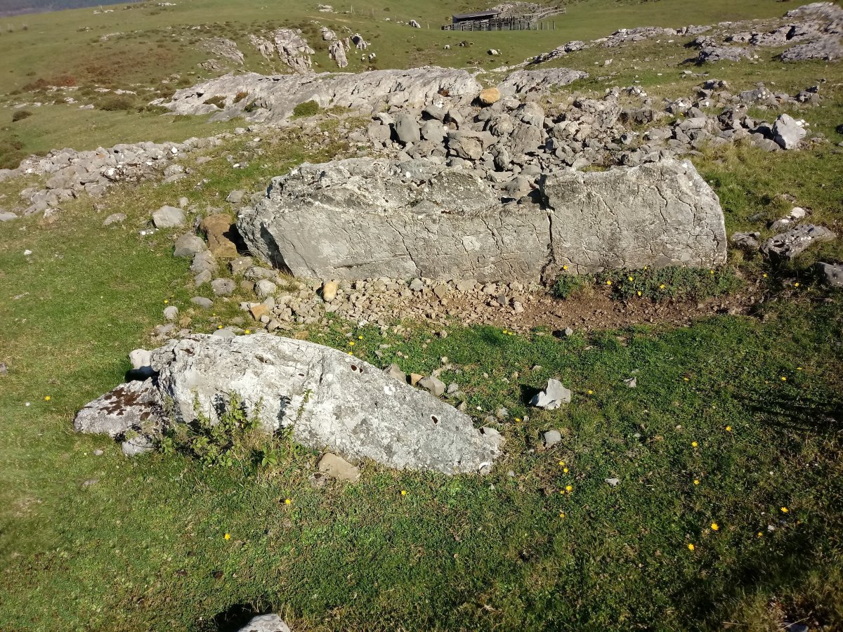 Errekatxuetako Atxa trikuharria (2017)