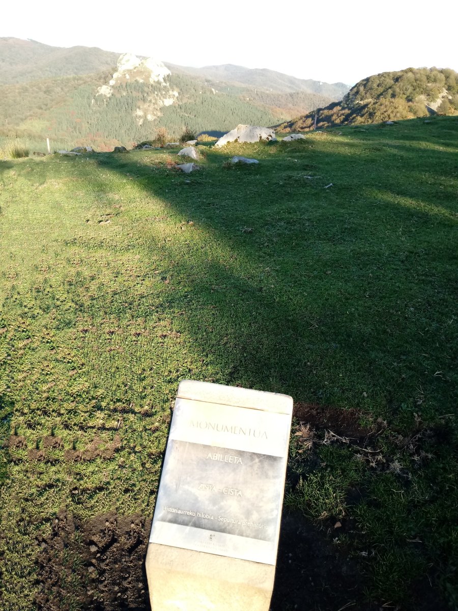 Abilleta zista (2017)